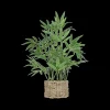 Ygo Artif. Bamboe BRODOU in Mand Nat.| Woondecoratie