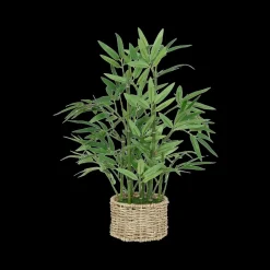Ygo Artif. Bamboe BRODOU in Mand Nat.| Woondecoratie