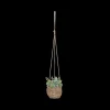 Ygo Artif. Hangplant ZOLIARI Groen Ass.| Woondecoratie