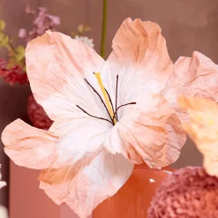Ygo Bloem LOOK Papier Peach| Woondecoratie
