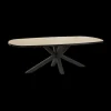 Ygo Eettafel ARTEGO Ovaal 200x100 Sterpoot Scarlet Oak| Eettafels