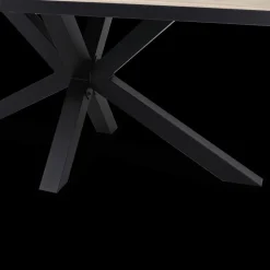 Ygo Eettafel ARTEGO Ovaal 200x100 Sterpoot French Oak| Eettafels