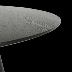 Ygo Eettafel FERMO Ø120 Fineer Zwart| Eettafels