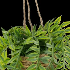 Ygo Hangplant PATRI in Mand Ass.| Woondecoratie