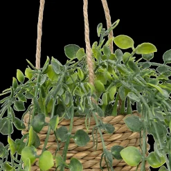 Ygo Hangplant PATRI in Mand Ass.| Woondecoratie