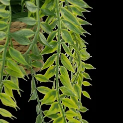 Ygo Hangplant PATRI in Mand Ass.| Woondecoratie