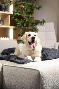 Ygo Hondendeken Sofa BOMMEL M Dk.Grijs| Kussens En Manden