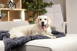 Ygo Hondendeken Sofa BOMMEL S L.Grijs| Kussens En Manden