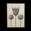 Ygo Muurdeco FLOWER 58x78| Wanddecoratie