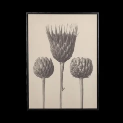 Ygo Muurdeco FLOWER 58x78| Wanddecoratie
