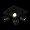Ygo Plafondspot PRESTON Zwart| Spots