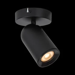 Ygo Plafondspot PUNCH 1Del. Zwart| Spots