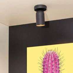Ygo Plafondspot PUNCH 1Del. Zwart| Spots