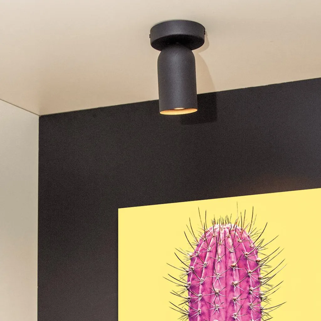 Ygo Plafondspot PUNCH 1Del. Zwart| Spots