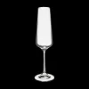 Ygo S/6 Champagneglas SELENGA 16cl| Glazen
