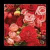 Ygo S/20 Serviet BOUQUET Rood| Tafellinnen & -Textiel
