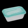 Ygo S/5 Vershouddoos FRESH&FREEZE 0.5l Mint| Bewaaraccessoires