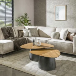 Ygo Salontafel FLORUS S/2 Organisch Rock| Salontafels & Bijzettafels