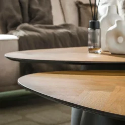 Ygo Salontafel FLORUS S/2 Organisch Rock| Salontafels & Bijzettafels