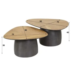 Ygo Salontafel FLORUS S/2 Organisch Rock| Salontafels & Bijzettafels