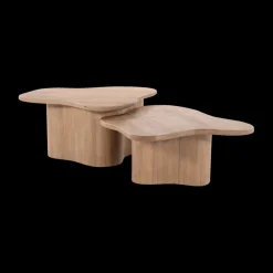 Ygo Salontafel S/2 AILO Mangohout Natural| Salontafels & Bijzettafels