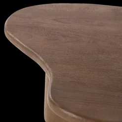 Ygo Salontafel S/2 AILO Mangohout Bruin| Salontafels & Bijzettafels