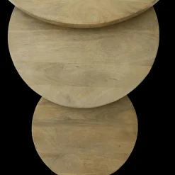 Ygo Salontafel S/3 BECCA Rond Mango| Salontafels & Bijzettafels