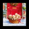 Ygo Serviet CHIOTS S/20 Rood/Groen| Tafellinnen & -Textiel|Kerst