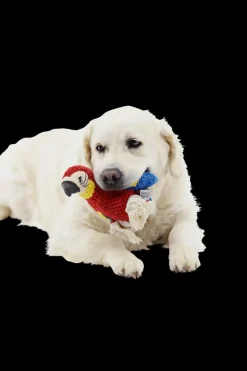 Ygo Speeltje PELUCHE Papegaai Rood| Huisdierspeelgoed