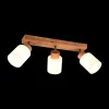 Ygo Spot ASSAM 3Del. Hout/Glas Wit| Spots