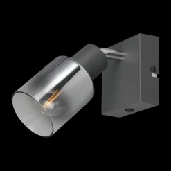 Ygo Spot CADIZ 1Del. Met./Glas Antraciet| Wandlampen