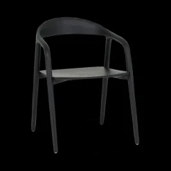 Ygo Stoel HJALMAR Ash Wood Black| Stoelen