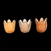 Ygo TL-Houder ZAVIA Tulp Glas Ass.| Woondecoratie